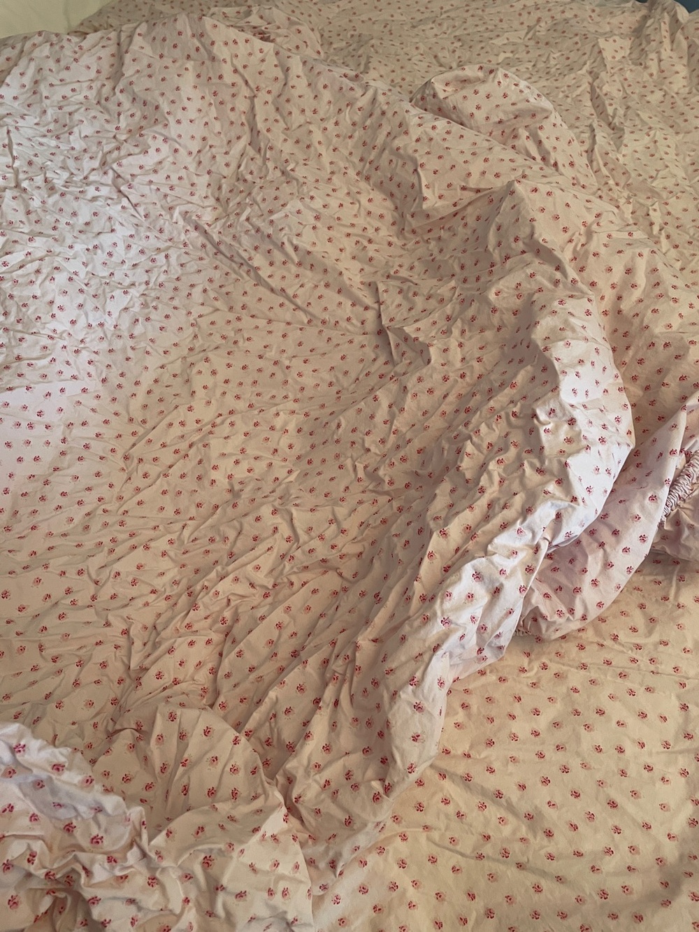 Shabby Chic Mini Roses Queen Sheet set - Picture 7 of 7